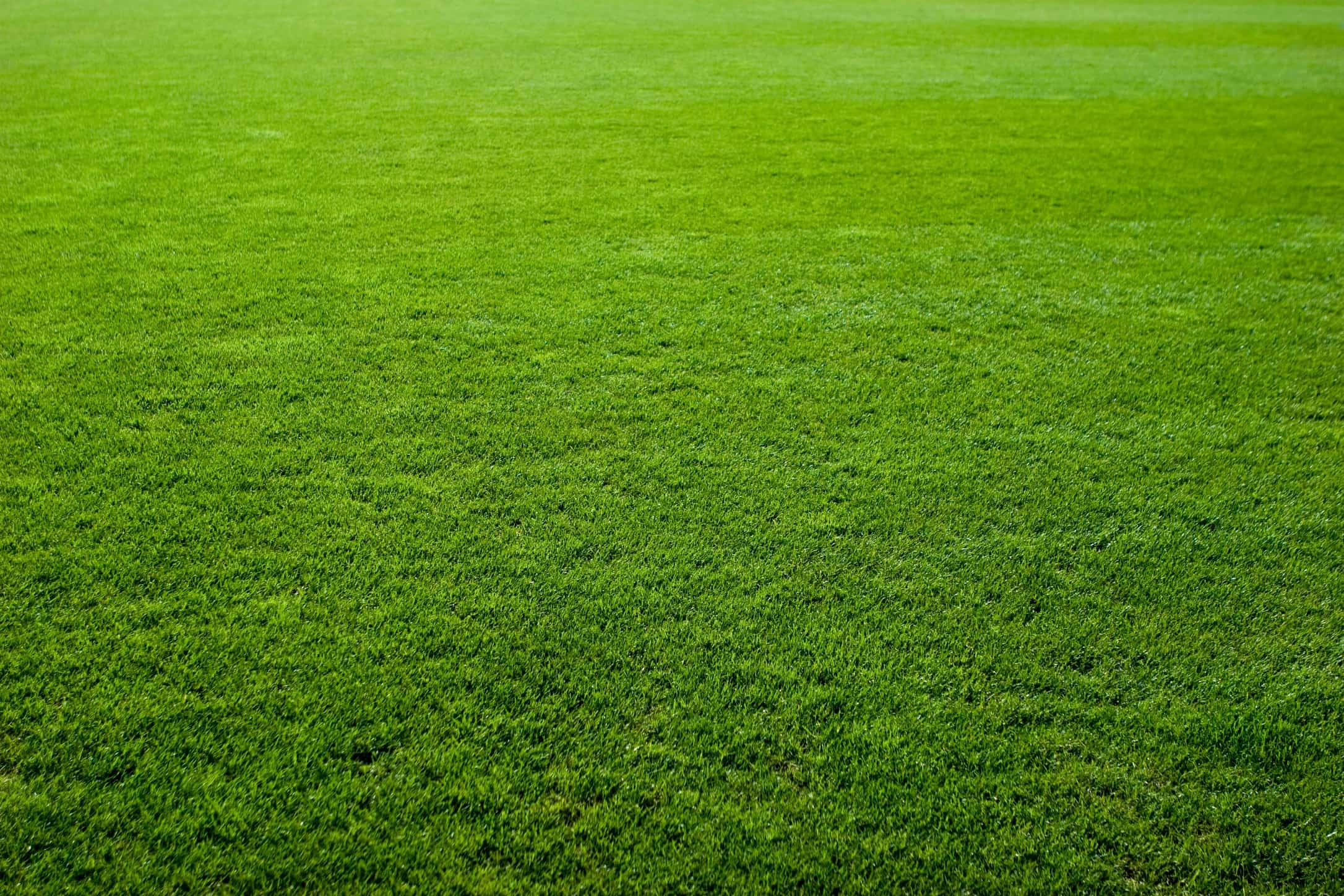 RMG Lawncare
