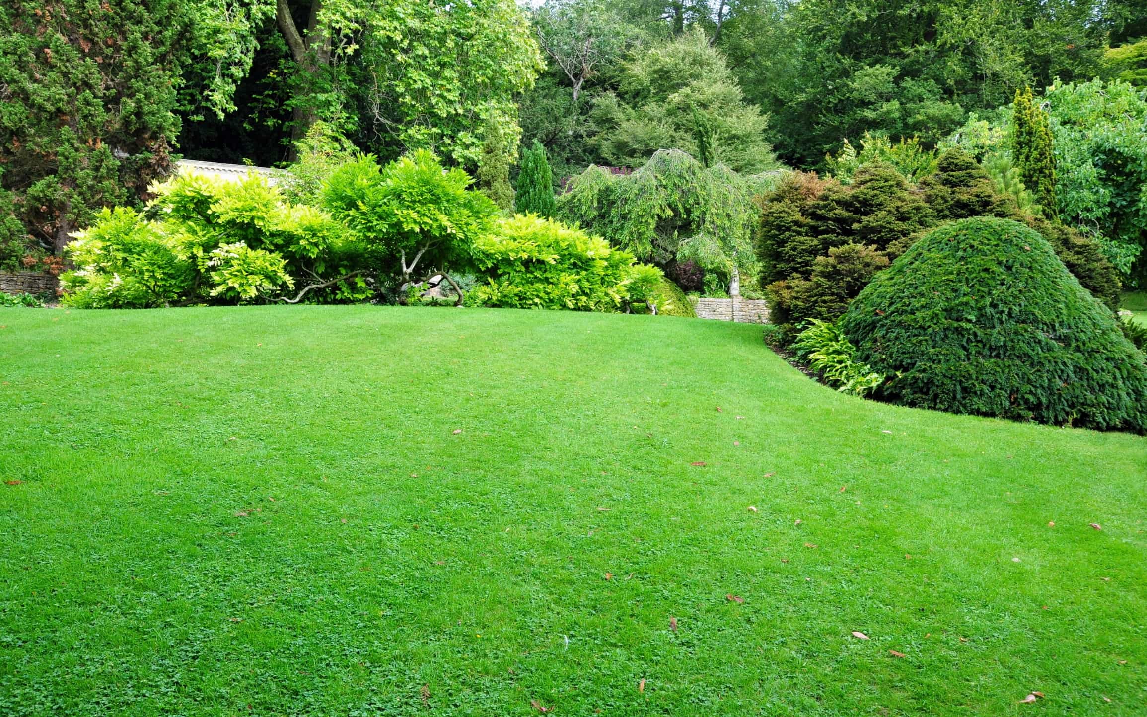Dylan's Mowing