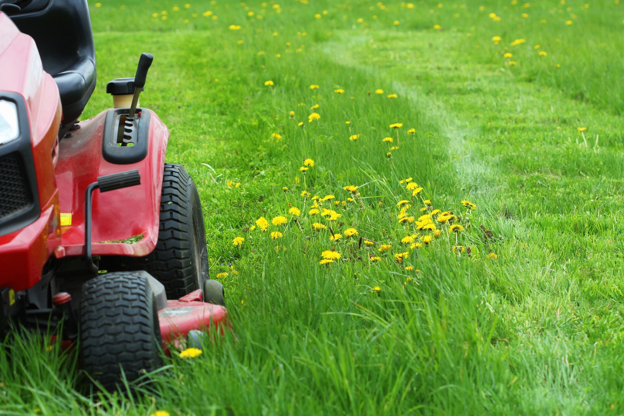Tony's Lawn and Garden Maintenance