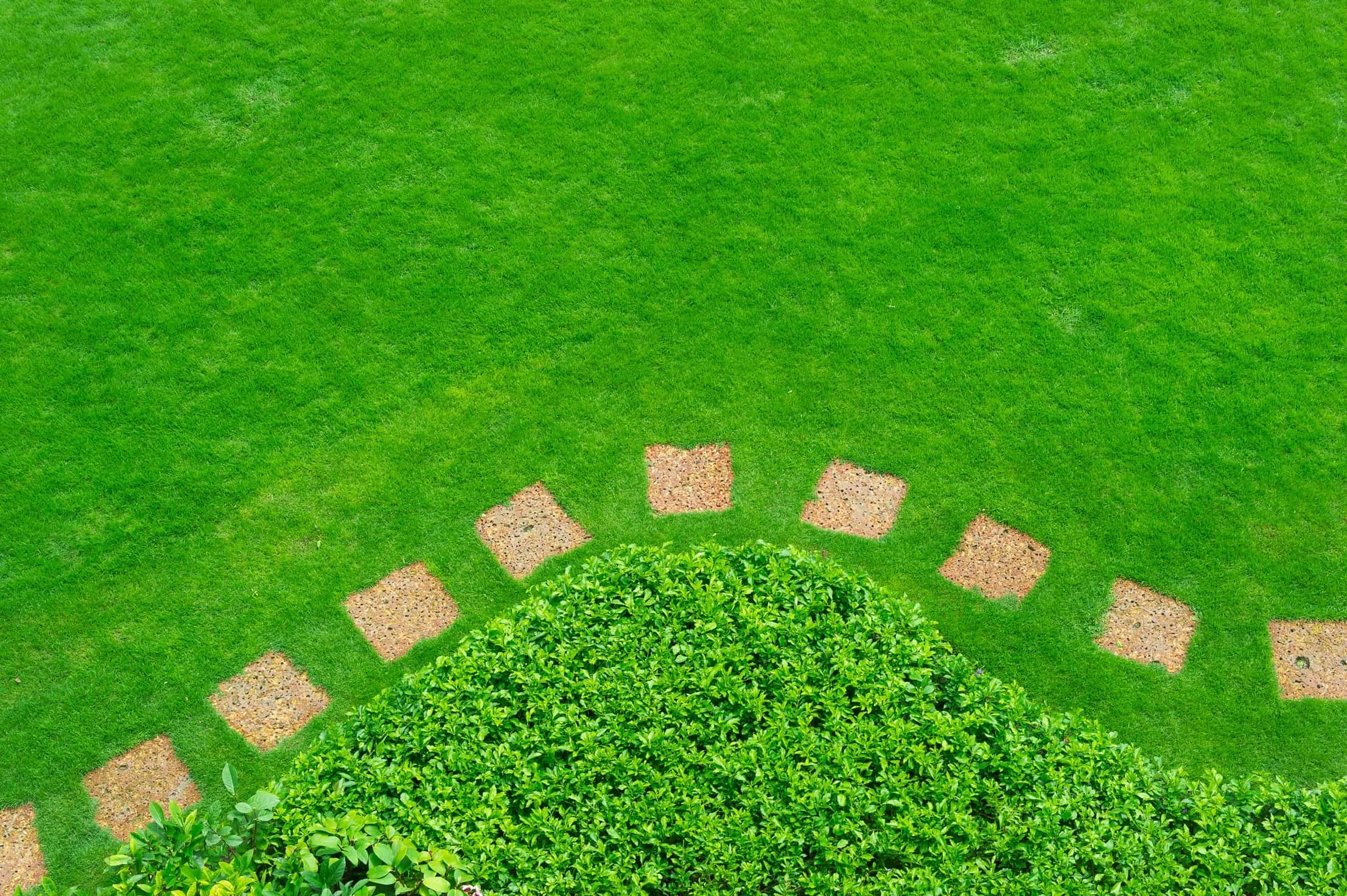 Sarge's Mowing & Maintenance